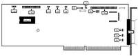 EVEREX SYSTEMS, INC. &nbsp; EV-8110