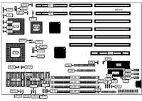 AMERICAN PREDATOR CORPORATION &nbsp; PREDATOR I PLUS