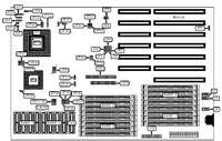 AMERICAN PREDATOR CORPORATION &nbsp; PREDATOR