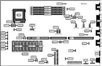AMERICAN PREDATOR CORPORATION &nbsp; PREDATOR LPX