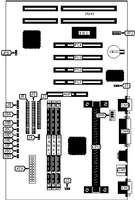 DIAMOND FLOWER, INC. &nbsp; P2XLX/E (REV. A+)