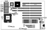 ALARIS &nbsp; COUGAR 486BL