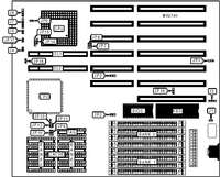 IPC CORPORATION, LTD. &nbsp; IPC DYNASTY HE
