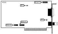DANPEX CORPORATION &nbsp; EW-1000