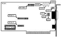 DANPEX CORPORATION &nbsp; EN-1010BT