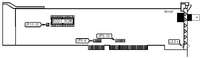 THOMAS-CONRAD CORPORATION &nbsp; TC6246