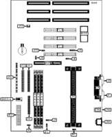 DIAMOND FLOWER, INC. P2XBL (REV. D+)