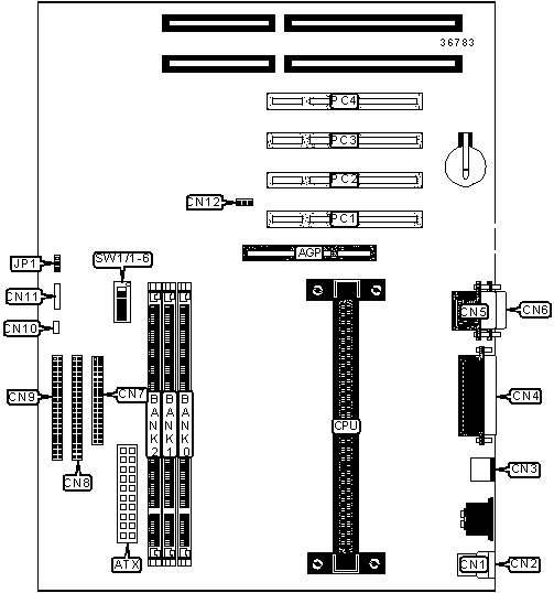wpe47.jpg (36512 bytes)